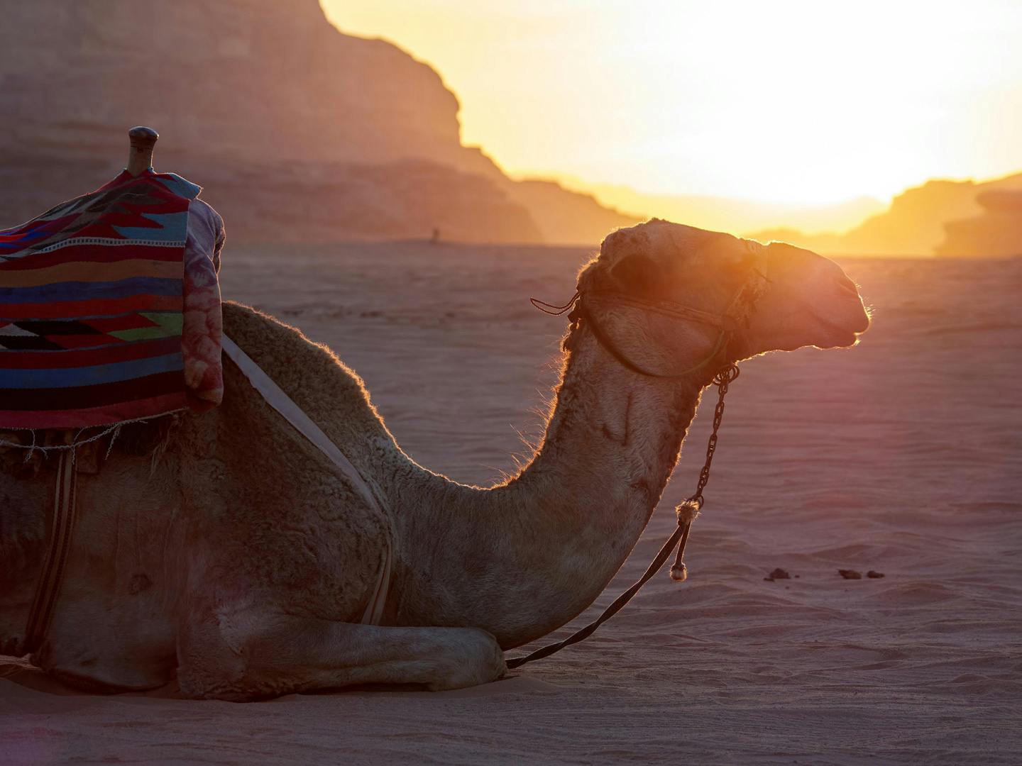 Wadi Rum - Jordan